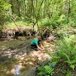 Bulls Bay Preserve