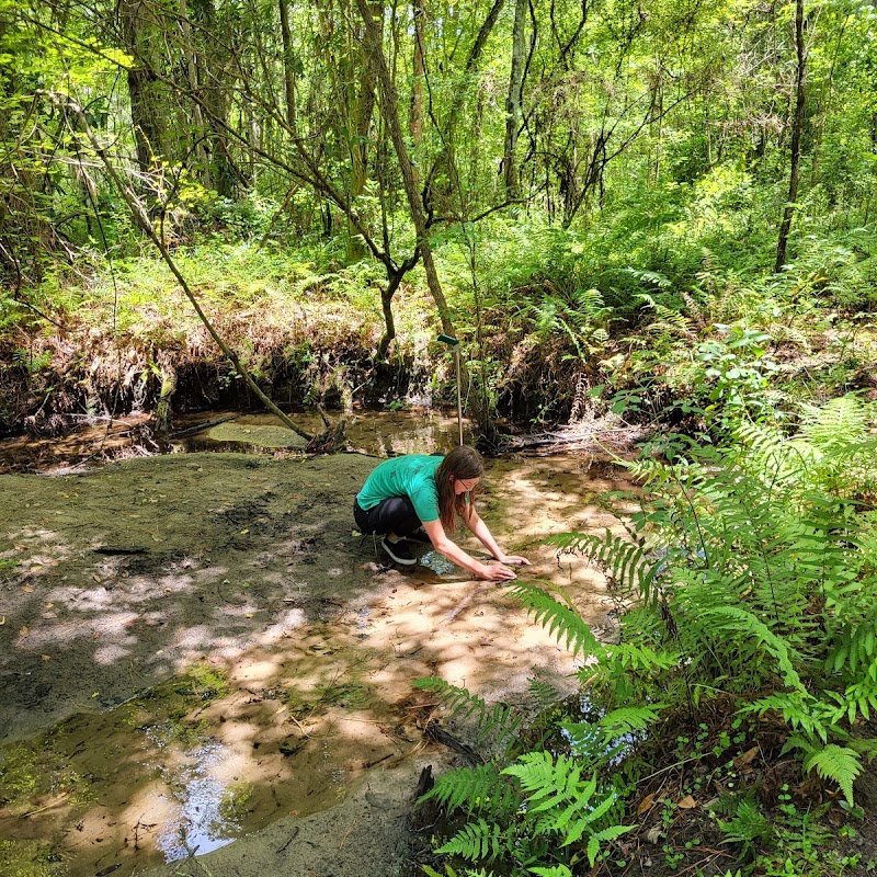 Bulls Bay Preserve