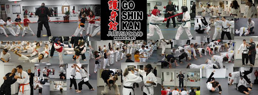 Goshinkan Jujitsu Dojo image 1