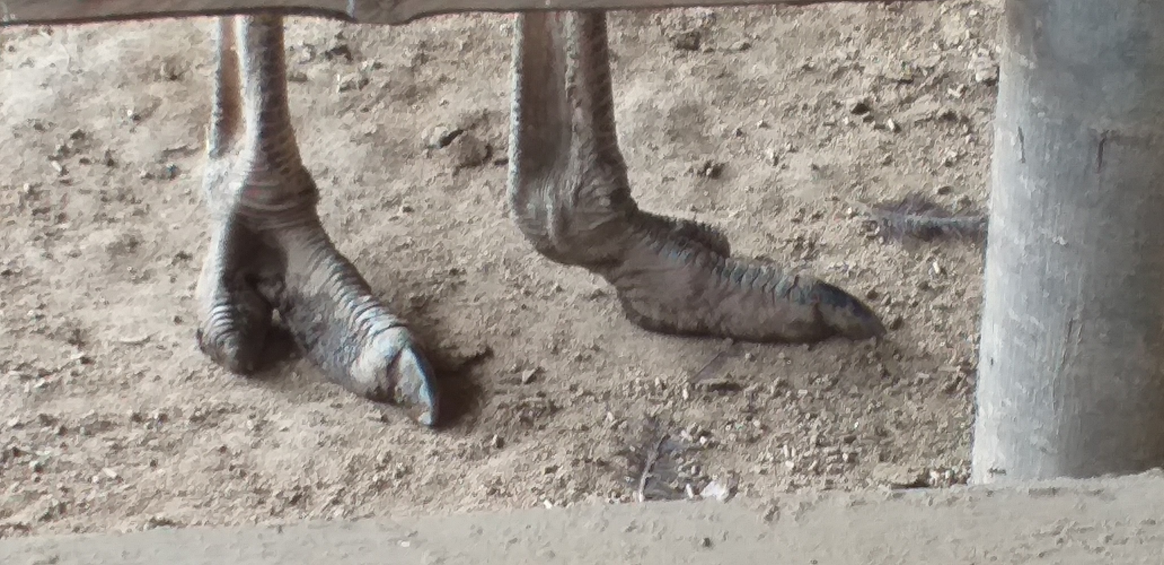 Photo n° 5 de l'avis de fanny79000. fait le 08/06/2019 à 18:43