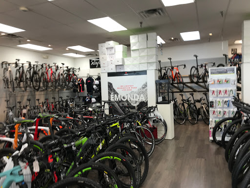 Bicycle Store «City Bikes Aventura», reviews and photos, 20335 Biscayne Blvd, Aventura, FL 33180, USA