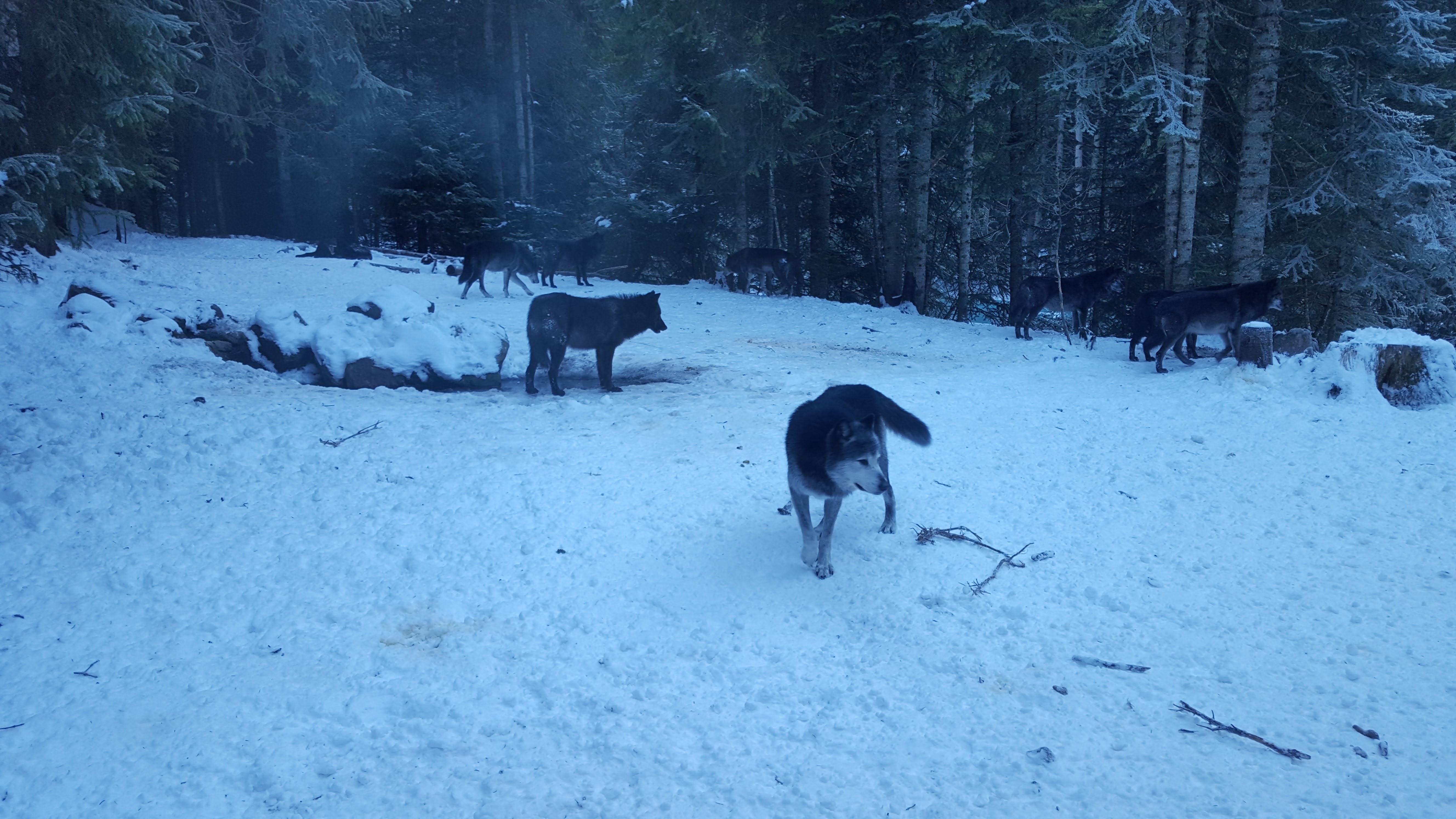 Photo n° 6 de l'avis de Pacôme.l fait le 16/01/2017 à 15:09