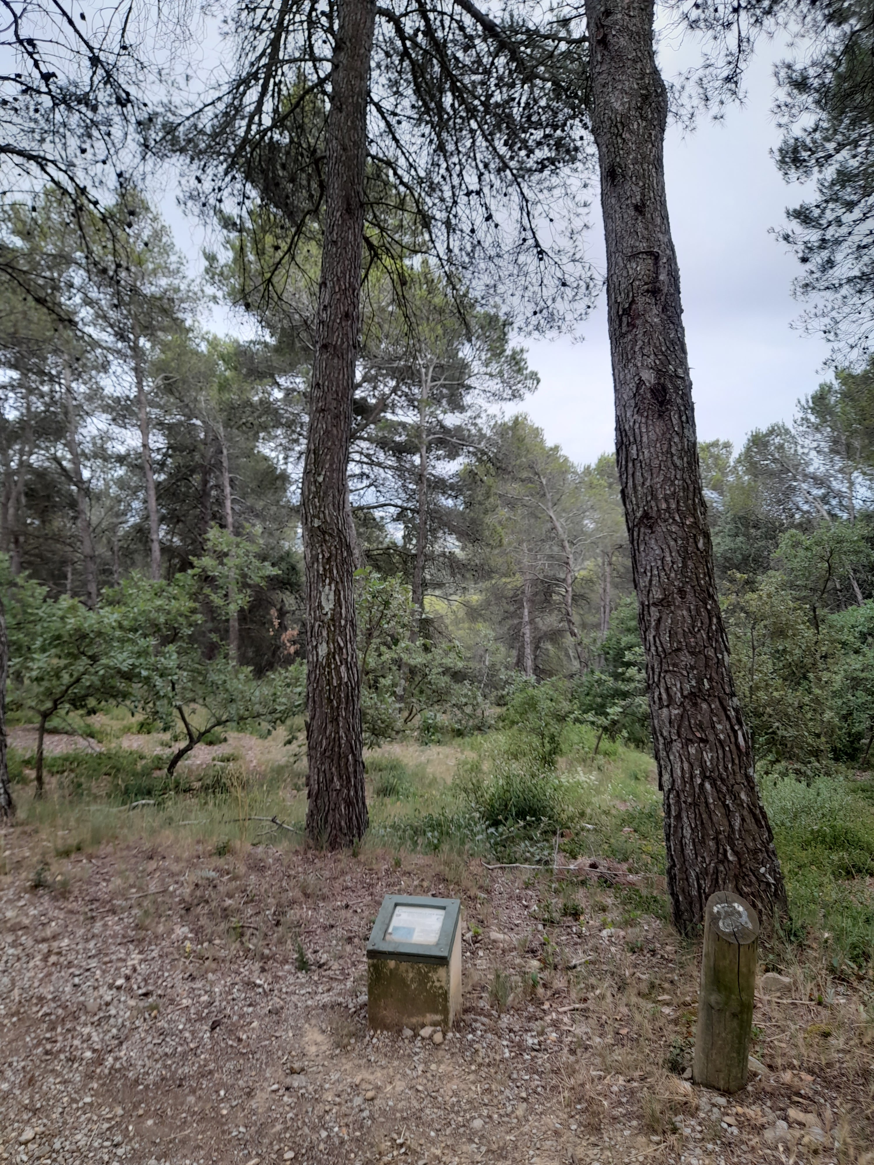 Photo n° 25 de l'avis de Bilbon.A fait le 20/06/2022 à 20:00