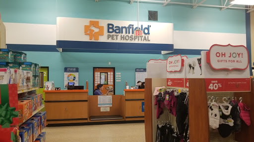 Pet Supply Store «PetSmart», reviews and photos, 21032 S Ellsworth Loop, Queen Creek, AZ 85142, USA