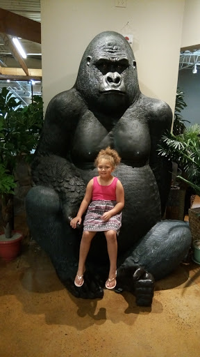 Furniture Store «Ashley HomeStore», reviews and photos, 251 Mundy St, Wilkes-Barre, PA 18702, USA