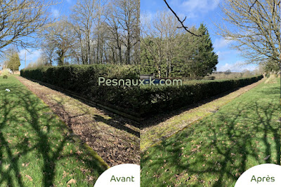 Pesnaux K à Arcisses