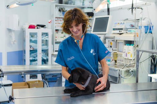 Farmacias veterinarias en San Sebastián