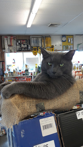 Pet Supply Store «Marvin Grain & Pet Supply», reviews and photos, 31 Cove Rd, South Dartmouth, MA 02748, USA