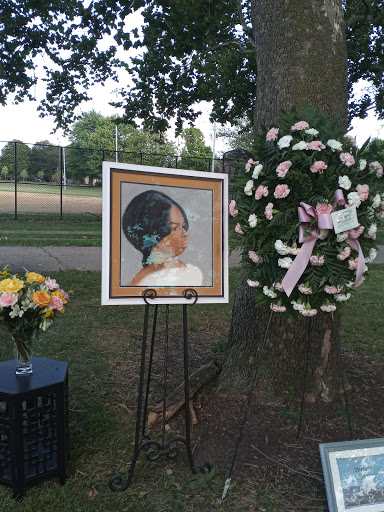 Park «Hayes Park», reviews and photos, 2936 W 85th St, Chicago, IL 60652, USA