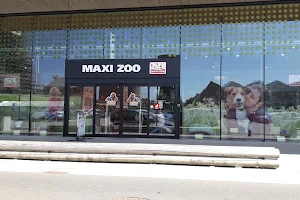 Maxi Zoo Beringen image