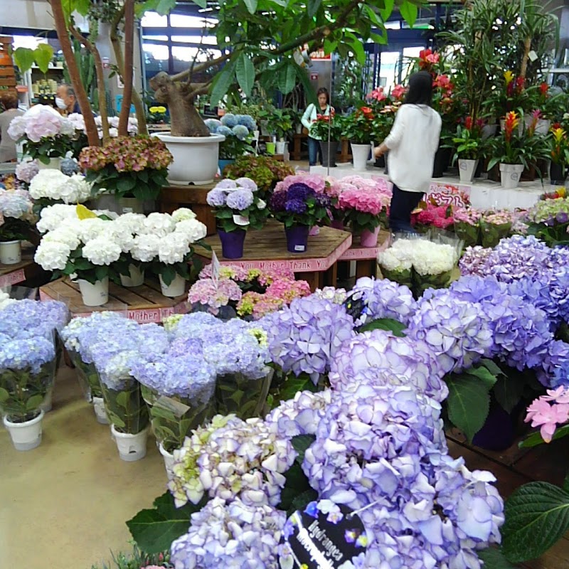 ディオワールド 草津店 本館 滋賀県草津市西渋川 ホームセンター ホームセンター グルコミ