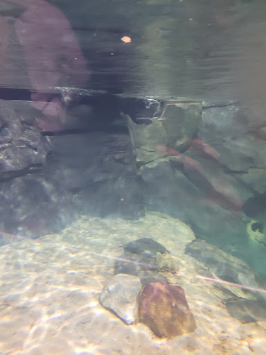 Tourist Attraction «World of Coca-Cola», reviews and photos, 121 Baker St NW, Atlanta, GA 30313, USA