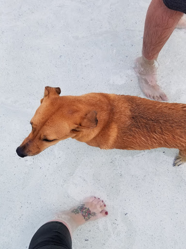 Park «Seminole Palms Park», reviews and photos, 151 Lamstein Ln, Royal Palm Beach, FL 33411, USA