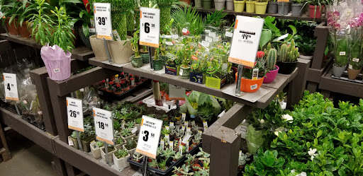 Home Improvement Store «The Home Depot», reviews and photos, 1550 Old Country Rd, Riverhead, NY 11901, USA