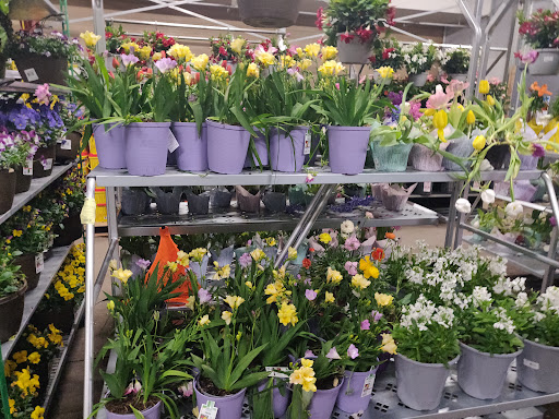 Discount Store «Walmart», reviews and photos, 650 Main Ave, Norwalk, CT 06851, USA