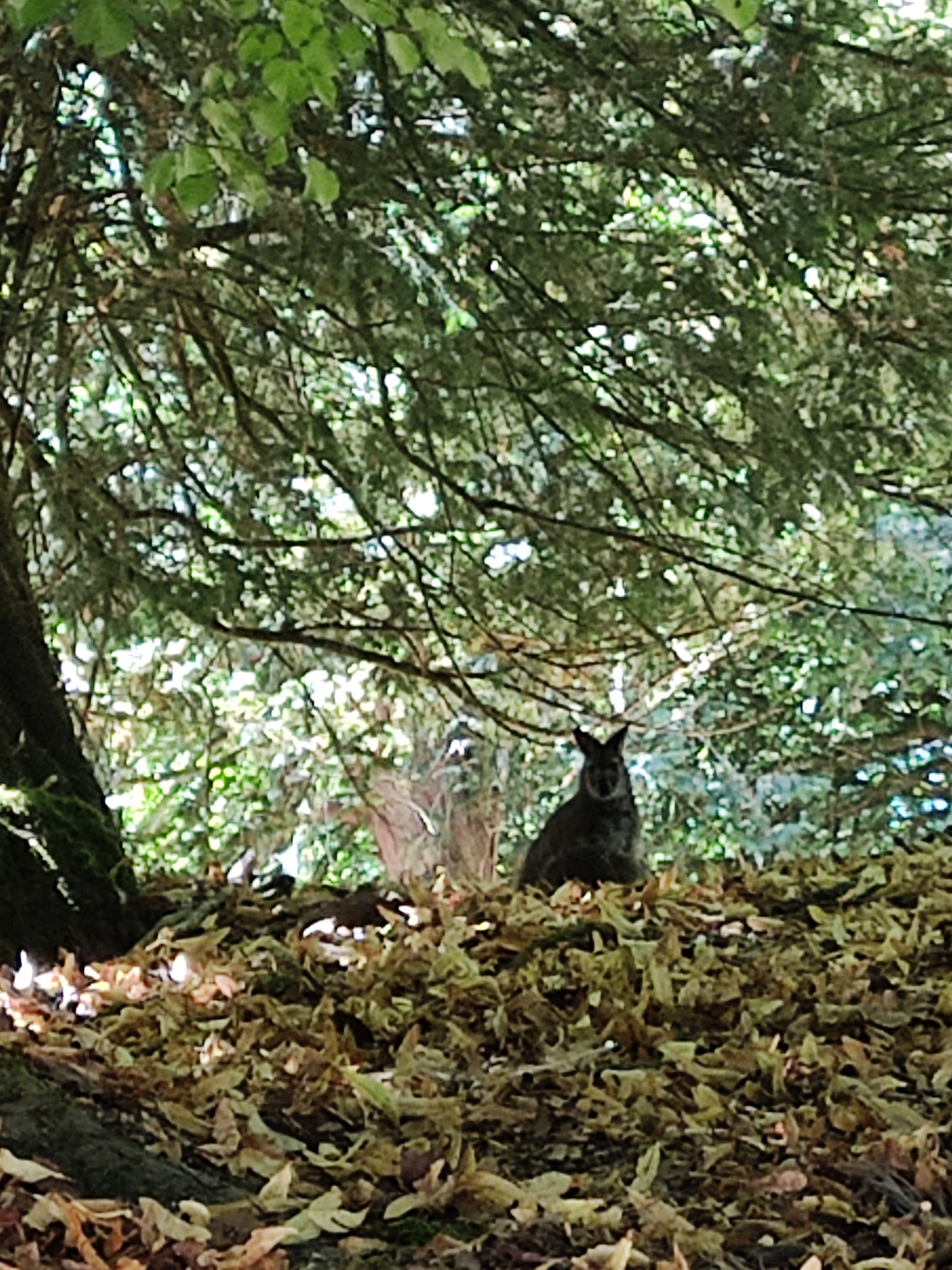 Photo n° 2 de l'avis de Gisou.o fait le 03/08/2022 à 17:23