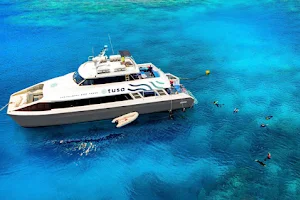Tusa Reef Tours - Cairns Premium Great Barrier Reef Tours | Snorkel & Diving image