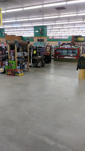 Sporting Goods Store «Oconee Bait And Tackle», reviews and photos, 754 Central Dr, Dublin, GA 31027, USA