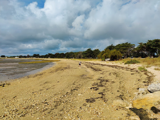 Shells Beach