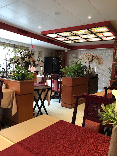 Rezensionen über China City Restaurant in Wettingen - Restaurant