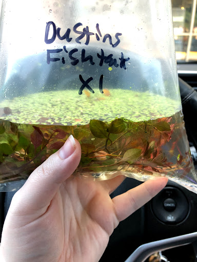 Pet Supply Store «Odyssey Pets», reviews and photos, 14999 Preston Rd #400a, Dallas, TX 75254, USA