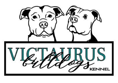 Victaurs Bulldogs Kennel