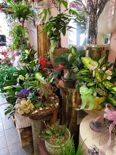 Florist «Annandale Plaza Florist», reviews and photos, 7328 Little River Turnpike, Annandale, VA 22003, USA