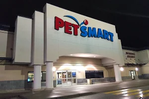 PetSmart image