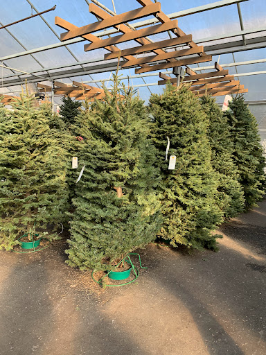 Garden Center «Pike Nurseries», reviews and photos, 615 W Crossville Rd, Roswell, GA 30075, USA