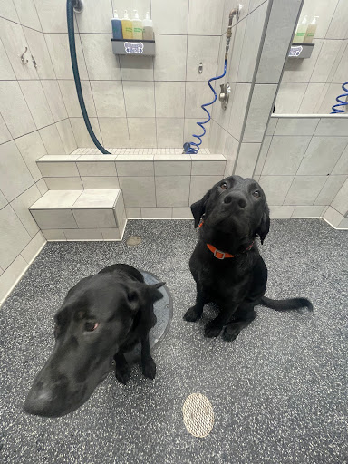 Pet Supply Store «Pet Supplies Plus», reviews and photos, 7954 Brewerton Rd #400, Cicero, NY 13039, USA