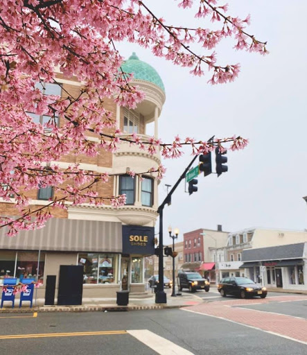 Sole Shoes-Shoes,Women, Men and Children, Italian Shoes, 201 E Broad St, Westfield, NJ 07090, USA, 