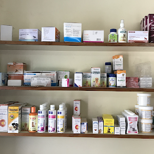 Pet Bloom Clinic photo