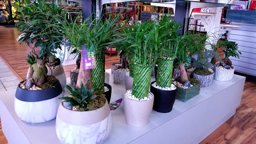 Florist «Flowerama of Plano», reviews and photos, 1151 W Parker Rd #200, Plano, TX 75023, USA