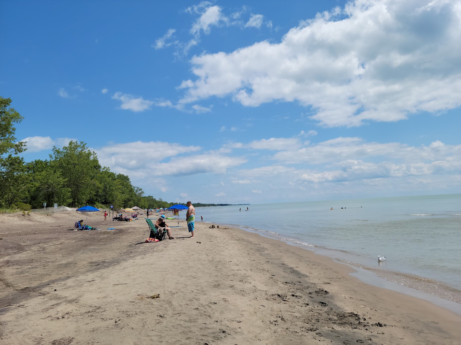 Foto van Long Point Public Beach - populaire plek onder ontspanningskenners