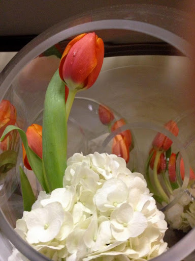 Florist «Stargazer Premier Florist», reviews and photos, 925 NW Circle Blvd, Corvallis, OR 97330, USA