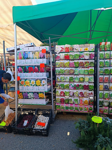 Rezensionen über Mercato in Mendrisio - Markt