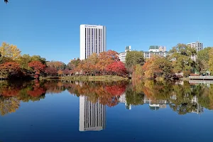 Nakajima Park image