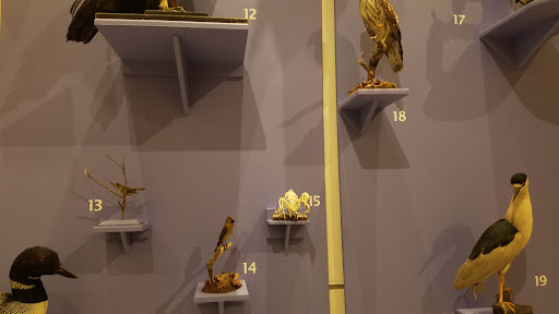 Museum «New Jersey State Museum», reviews and photos, 205 W State St, Trenton, NJ 08608, USA