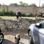 Photo n°6 de l'avis de Lorenzo.o fait le 28/06/2021 à 14:38 sur le  Ristorante La Foresta à Montioni