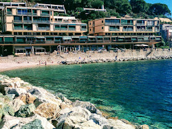 Foto von Spiaggia della Pianotta und die siedlung