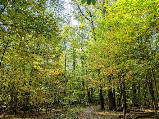 Park «Hart`s Brook Park and Preserve», reviews and photos, 156 Ridge Rd, Hartsdale, NY 10530, USA