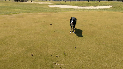 Golf Course «Eastern Hills Golf Course», reviews and photos, 6075 E G Ave, Kalamazoo, MI 49004, USA