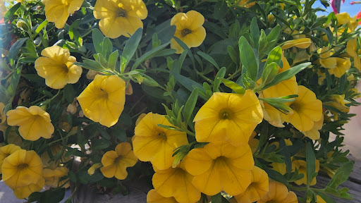 Department Store «Rural King», reviews and photos, 2947 S Washington St, Kokomo, IN 46902, USA