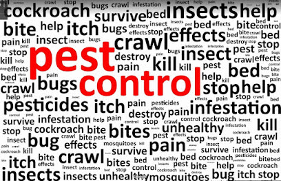 Bed Bug Solutions of Southwest Michigan LLC