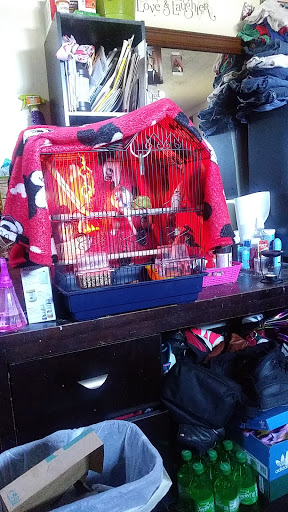 Pet Supply Store «Petco Animal Supplies», reviews and photos, 1694 Boston Rd, Springfield, MA 01129, USA