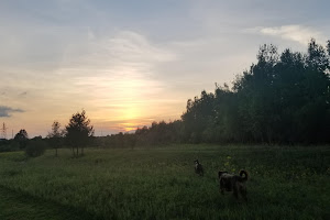 Off-Leash Dog Park