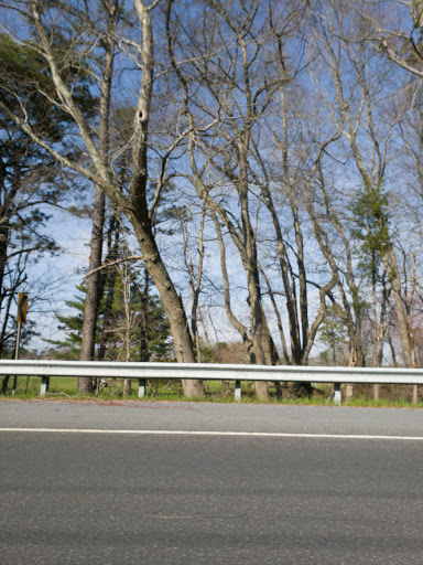 Public Golf Course «Hamilton Trails Golf Club», reviews and photos, 620 Harbor Ave, Mays Landing, NJ 08330, USA