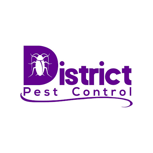 District Pest Control - Swansea