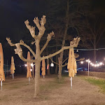 Photo n°7 de l'avis de Nicki.. fait le 28/02/2018 à 20:57 sur le  Ristorante am Harressee à Seligenstadt