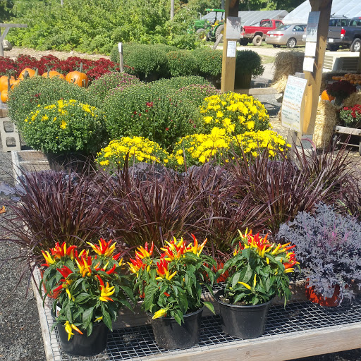 Farm «Langwater Farm», reviews and photos, 209 Washington St, North Easton, MA 02356, USA